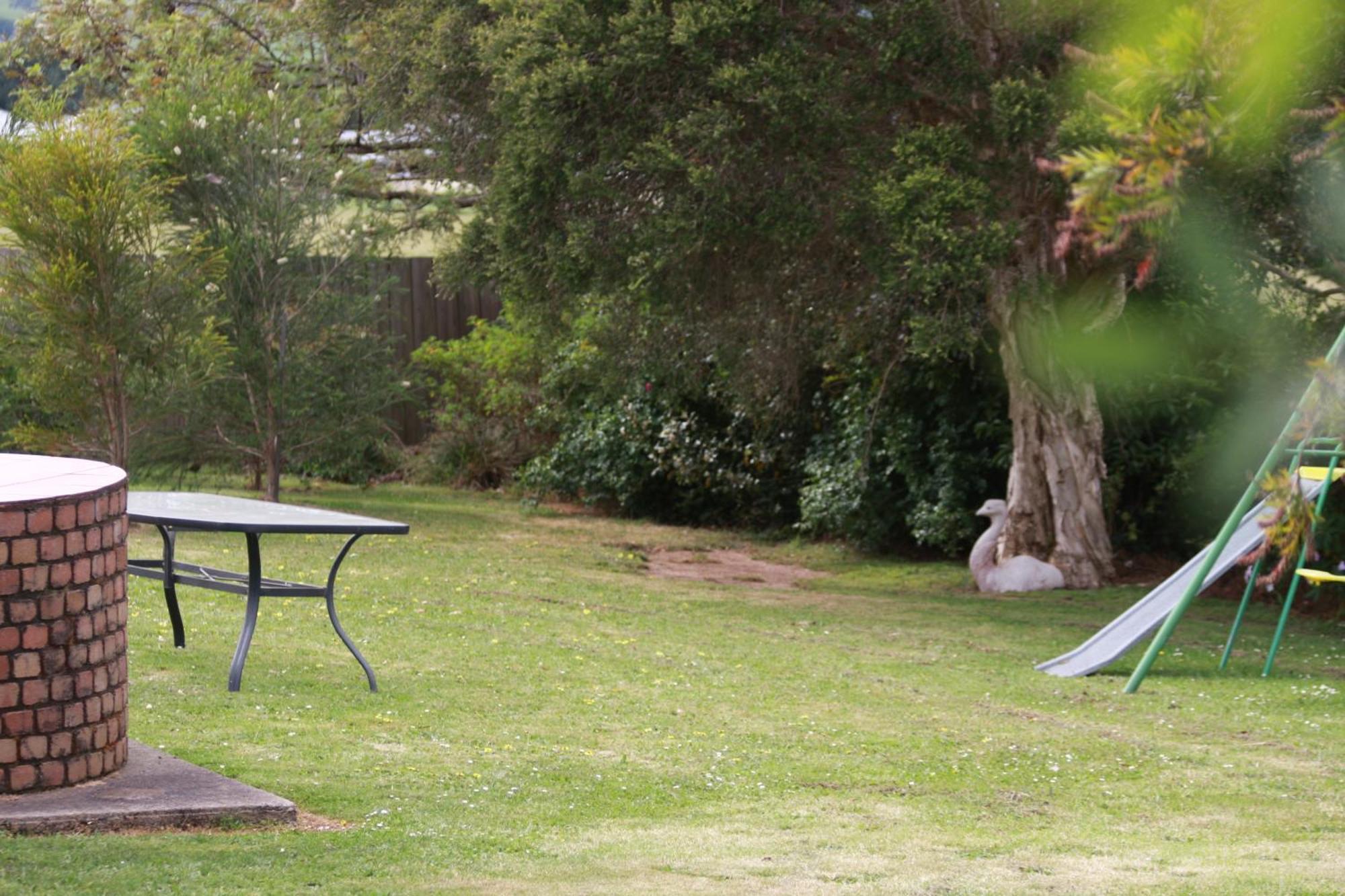 Opal Motel Leongatha Bagian luar foto